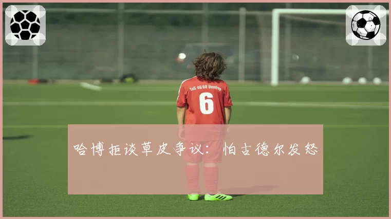 哈博拒谈草皮争议:怕古德尔发怒