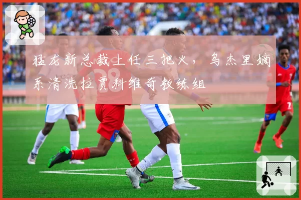 猛龙新总裁上任三把火，乌杰里嫡系清洗拉贾科维奇教练组