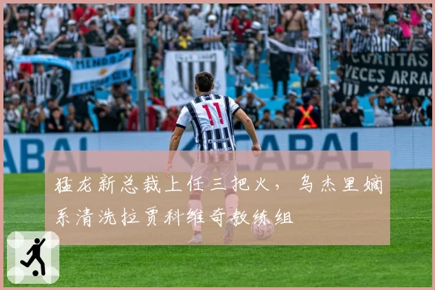 猛龙新总裁上任三把火,乌杰里嫡系清洗拉贾科维奇教练组