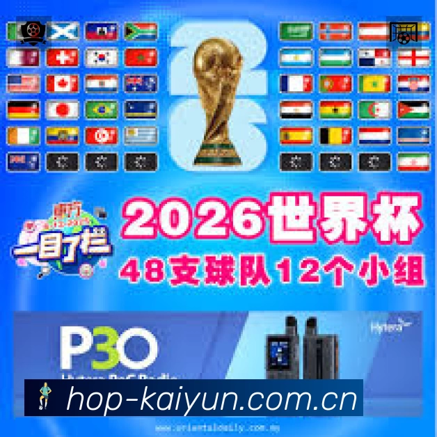 结构优化认证展示